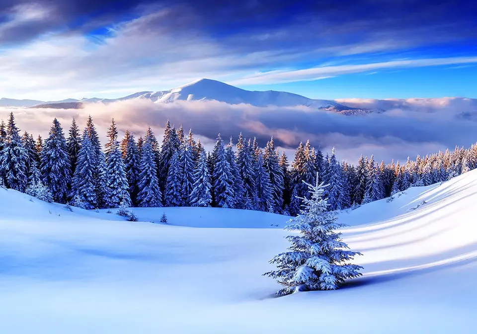 Papier Peint 3D Forêt Neige