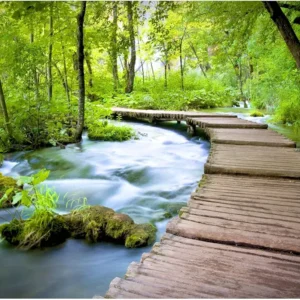 Papier Peint Pont Cascade
